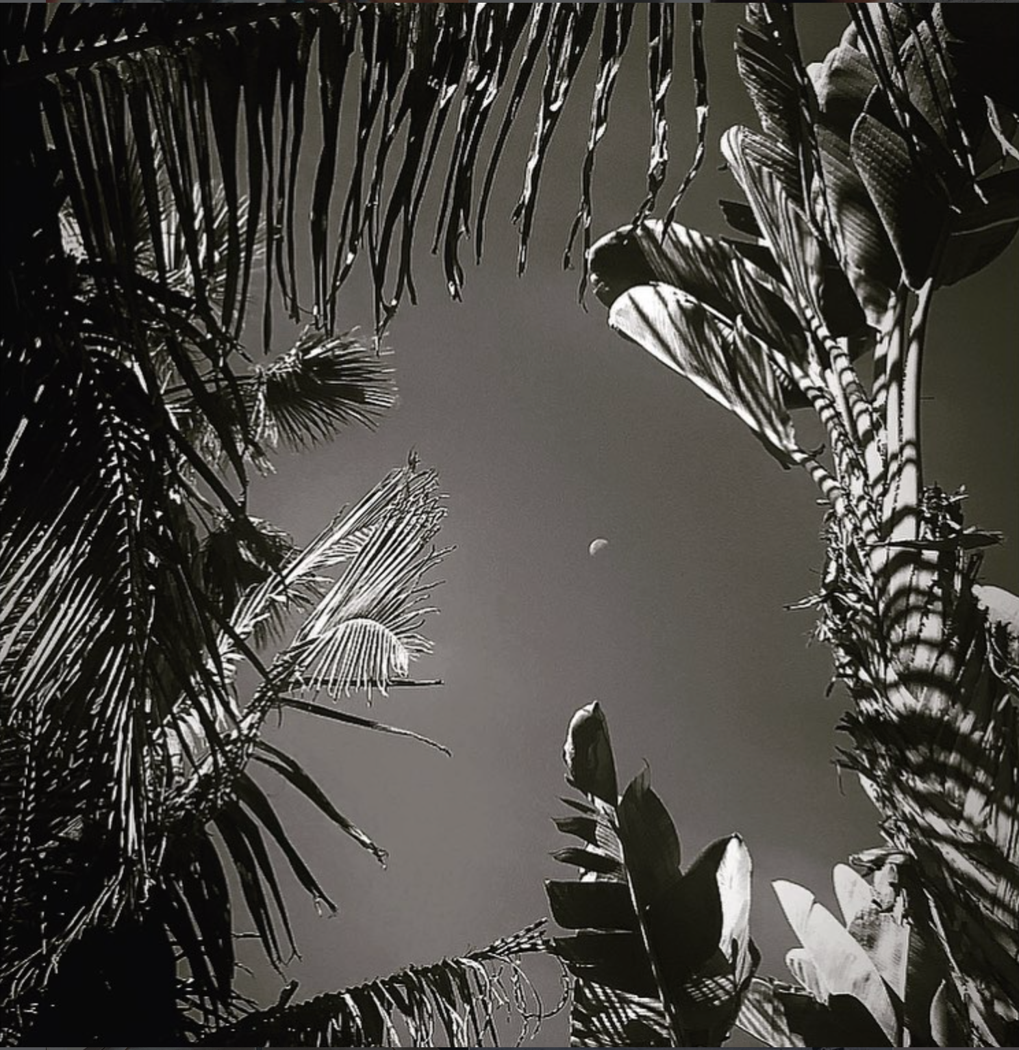Los Angeles