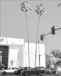 Beverly Hills
